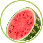 sandia