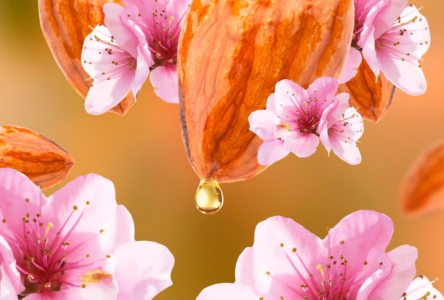Almendras Almendras