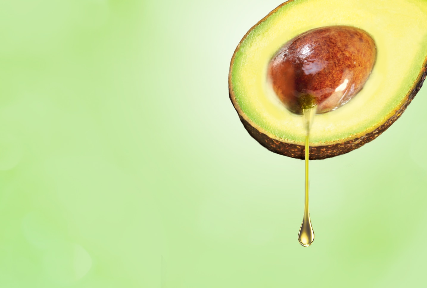 Aguacate Aguacate