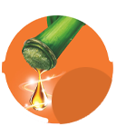 Aceite de Bambú